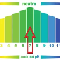 Scala PH 4F Soap.webp