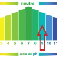 CeraMag Scala PH.webp