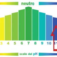 Clor Up Scala PH.webp