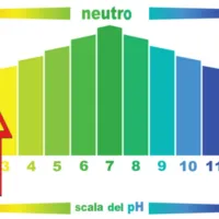 DaBrill ScalaPH.webp