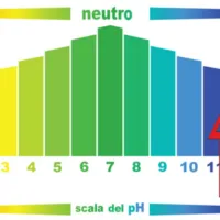 Fluonet Scala PH.webp
