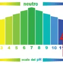 Fluonet Scala PH.webp