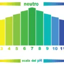 No Calc L Scala PH.webp