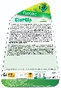 ClorUp Retro.webp