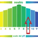 Paiflor Scala PH.webp