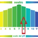 Painet Scala PH.webp