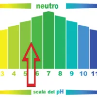 SaniSoap Scala PH.webp