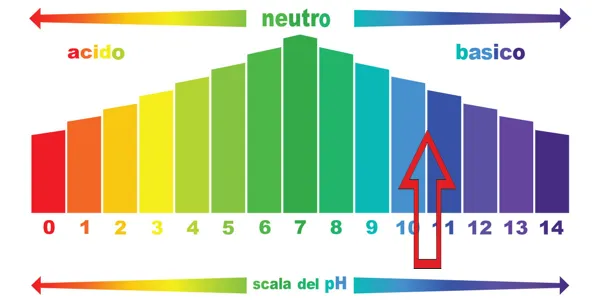 Il marsigliese PH10.5.webp