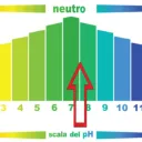 B-Lux Scala PH.webp