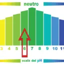 Sanid Scala PH.webp