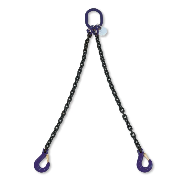 Beta 8092/G10 pendenti per sollevamento catena a 2 bracci grado 10