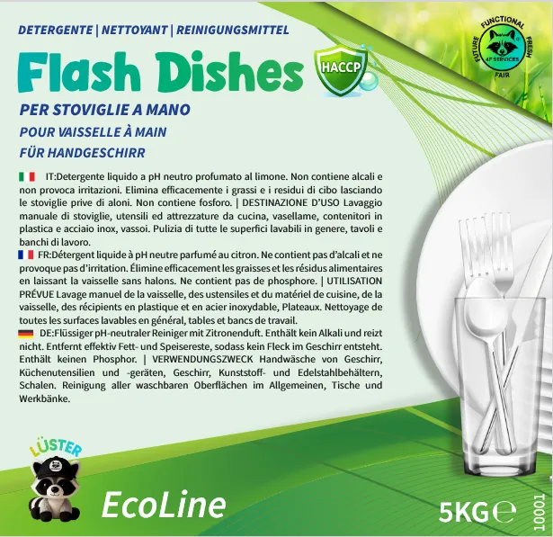 Flash Dishes Det. Piatti a Mano 5kg