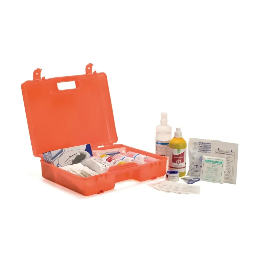 [100025-AR] Cassetta Pronto Soccorso Eurovaligia Cat. AB All. 1