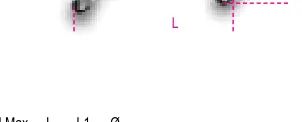 [030260903] Beta 3026/R0,3 4 ruote girevoli di ricambio per sollevatore idraulico 3026 0,3